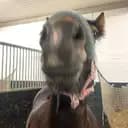 Pennyb